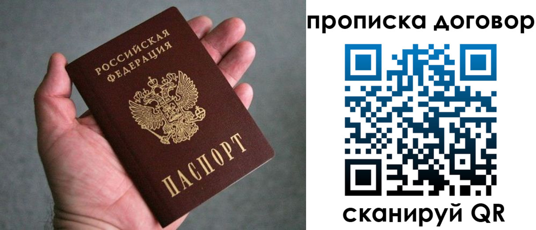 прописка поиск в Королёве